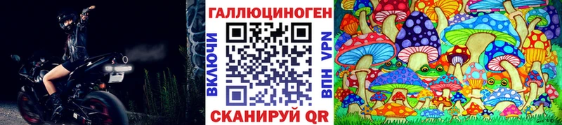 Псилоцибиновые грибы Cubensis  продажа наркотиков  Зубцов 